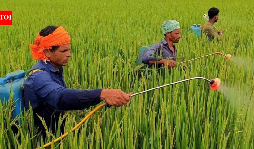 64 एलटी यूरिया, 19 एलटी अन्य उर्वरक: मध्य पूर्व संकट के बीच वैश्विक कीमतें दोगुनी होने पर भारत ने आयात योजनाओं को बढ़ावा दिया