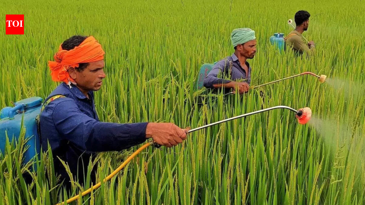 64 एलटी यूरिया, 19 एलटी अन्य उर्वरक: मध्य पूर्व संकट के बीच वैश्विक कीमतें दोगुनी होने पर भारत ने आयात योजनाओं को बढ़ावा दिया