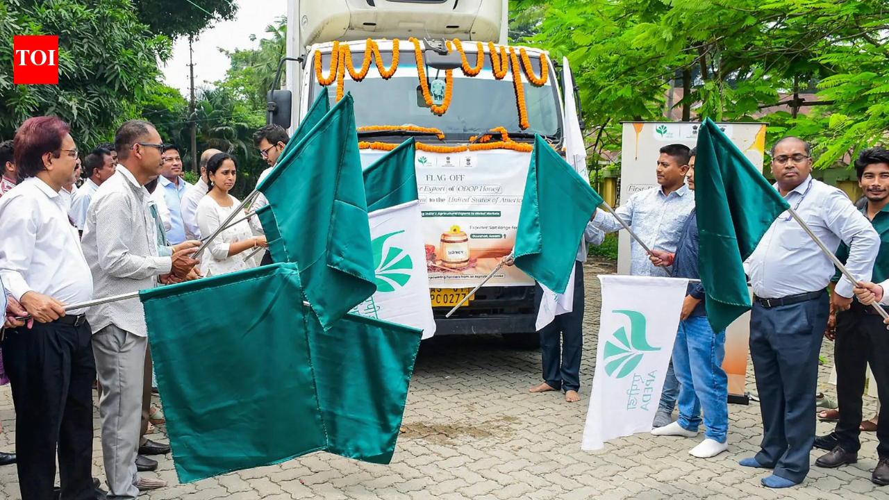 असम ने अमेरिका को 20 टन शहद की खेप भेजी, किसानों को निर्यात बाजार को बढ़ावा मिला