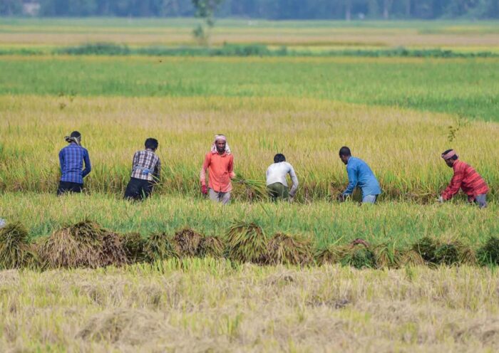 दक्षिण-पश्चिम मॉनसून भारत: कमजोर बारिश से कृषि आय, उपभोग और मुद्रास्फीति के दृष्टिकोण पर असर पड़ सकता है: एसएंडपी