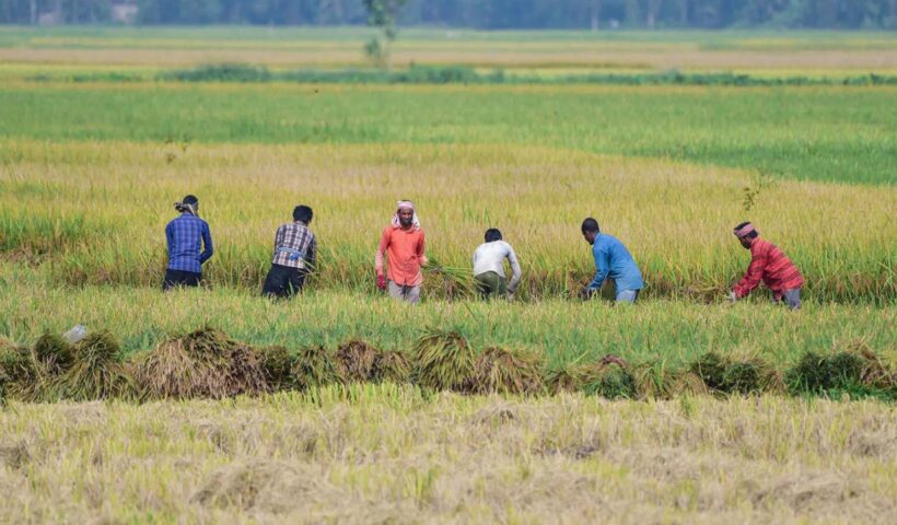 दक्षिण-पश्चिम मॉनसून भारत: कमजोर बारिश से कृषि आय, उपभोग और मुद्रास्फीति के दृष्टिकोण पर असर पड़ सकता है: एसएंडपी