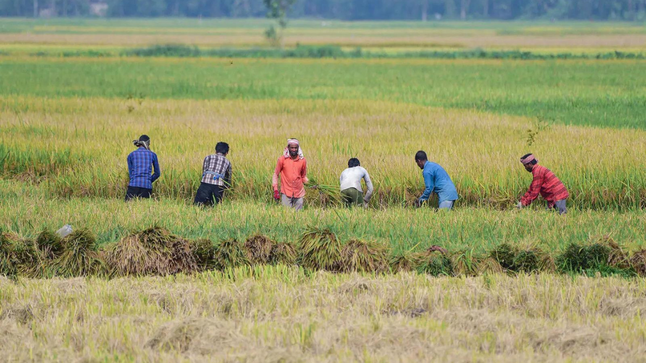 दक्षिण-पश्चिम मॉनसून भारत: कमजोर बारिश से कृषि आय, उपभोग और मुद्रास्फीति के दृष्टिकोण पर असर पड़ सकता है: एसएंडपी
