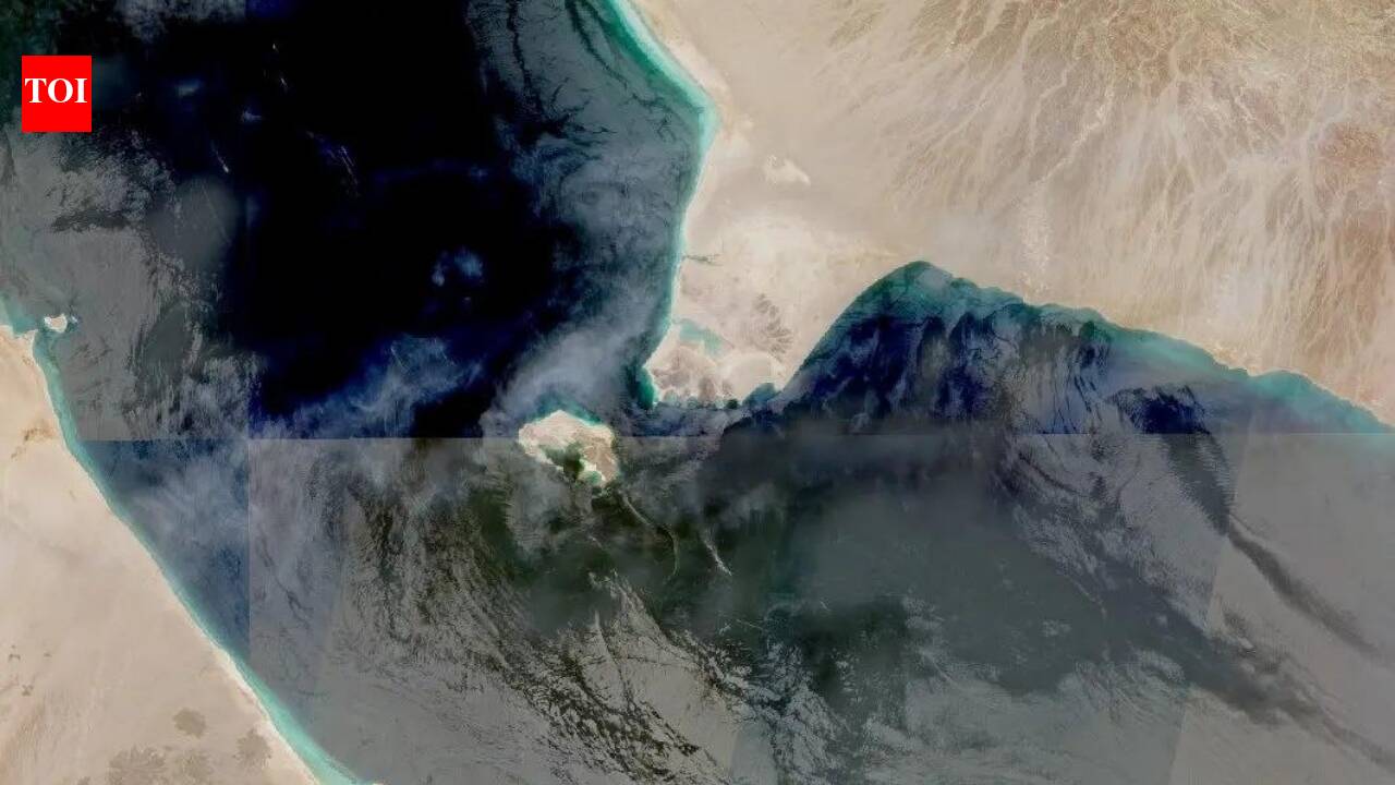 ट्रांसपोंडर बंद: कैसे भारत के लिए सऊदी तेल वाले टैंकर 'अंधेरे' में जाकर लाल सागर से बाहर निकल रहे हैं